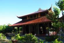 Thăm 'chùa khỉ' ở Bà Rịa - Vũng Tàu