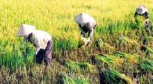 Ỷ Lại Là Căn Bệnh Cûa Nhiều Người