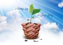 Suy Nghĩ về bài thơ của nhà thơ Trần Thị Lam