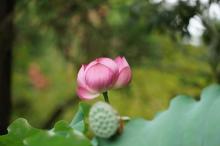Phật Dạy Sự Nghiệp Ngày Mai