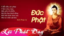 Danh ngôn lời vàng Phật dạy về 4 hạng người