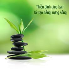 Thiền Tập Trong Bộn Bề Công Việc