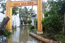 Khánh Hòa: Chùa Đào  Viên, Linh Quang bị bão số 12 tàn phá.