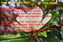 Tâm hạnh