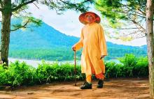 Rùa Mù Tìm Bộng Cây