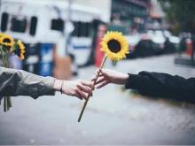 Lạc chốn phong trần