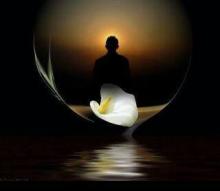 Ngược lối quay về