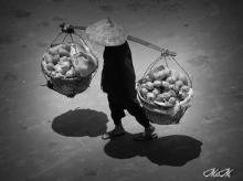 Cội nguồn