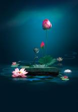 Vườn Hạnh Hoa Tâm