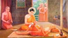 Cơn Đau Làm Bạn