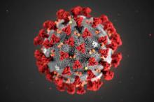 Tôi loài Virus