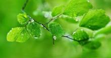 Tôi Tự Hỏi
