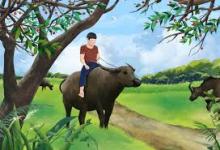 Điềm Lành Năm Con Trâu