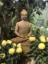 Giải Nghiệp