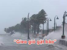 Gieo Gió Gặp Bão