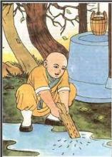 Bảo Vệ Sanh Linh