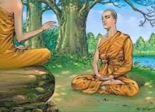 A La Hán Vẫn Còn Tưởng Lìa Tưởng Nhập Pháp Giới