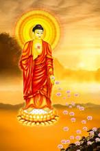 Tịnh Độ Cực Lạc Và Tịnh Độ Hiện Tại (Phần Cuối)
