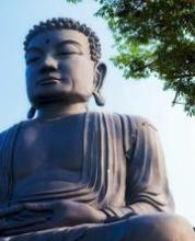 Sống thời đại và tinh thần đức Phật