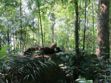 Am Ngọa Vân nơi Thượng hoàng Trần Nhân Tông thị tịch…Ảnh VNN