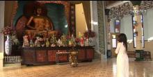 Video - Vãn cảnh chùa ngày xuân