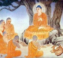 Nhớ Con